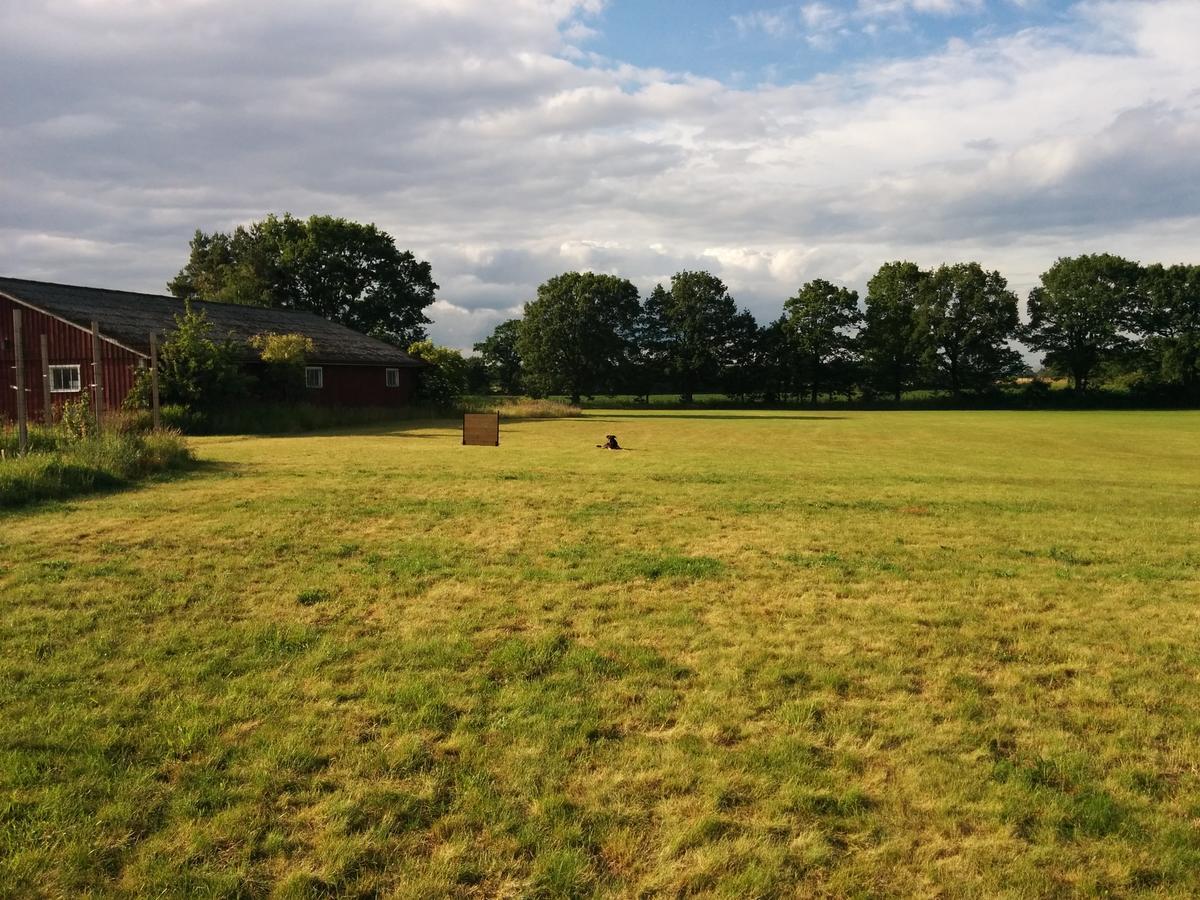 Olserods Hundcenter & Vandrarhem Degeberga Luaran gambar