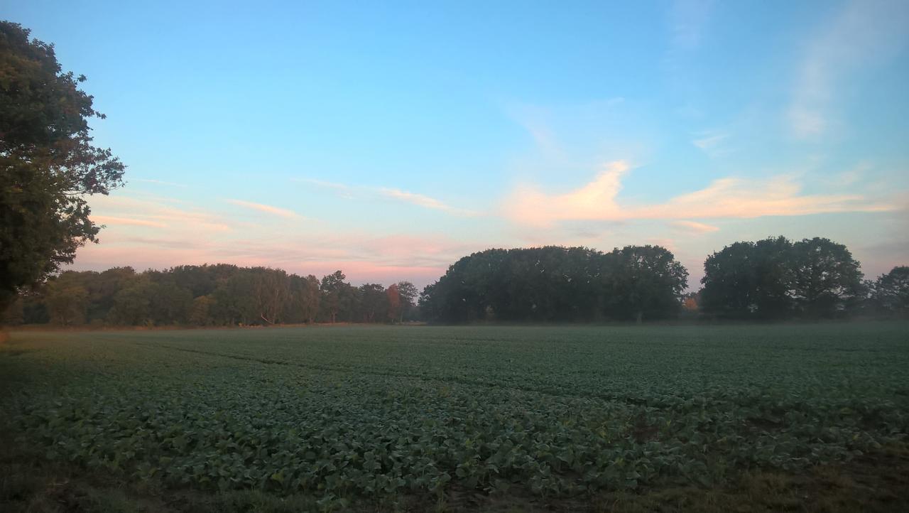 Olserods Hundcenter & Vandrarhem Degeberga Luaran gambar