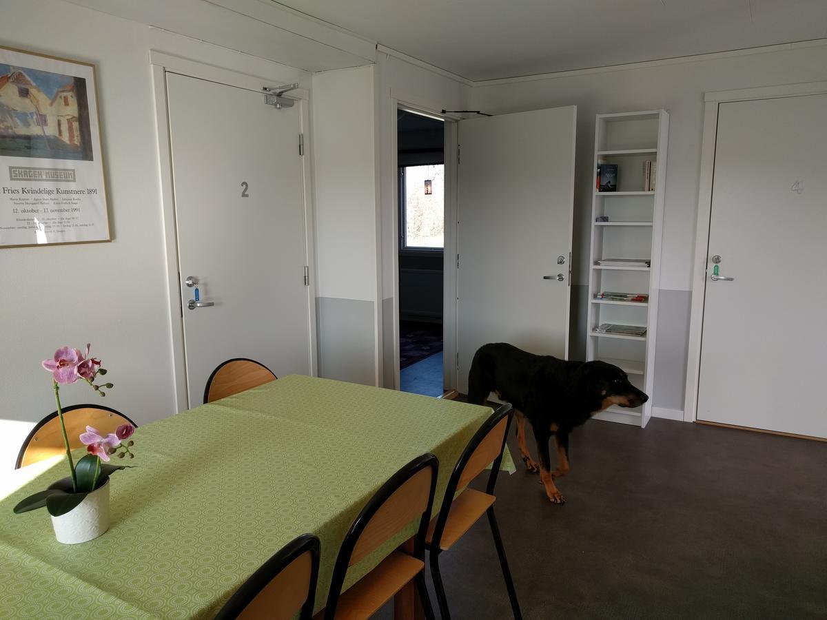 Olserods Hundcenter & Vandrarhem Degeberga Luaran gambar