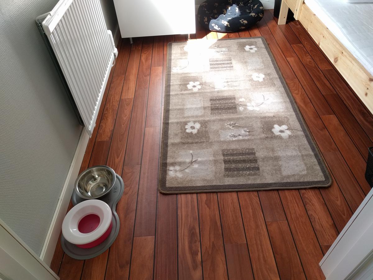 Olserods Hundcenter & Vandrarhem Degeberga Luaran gambar