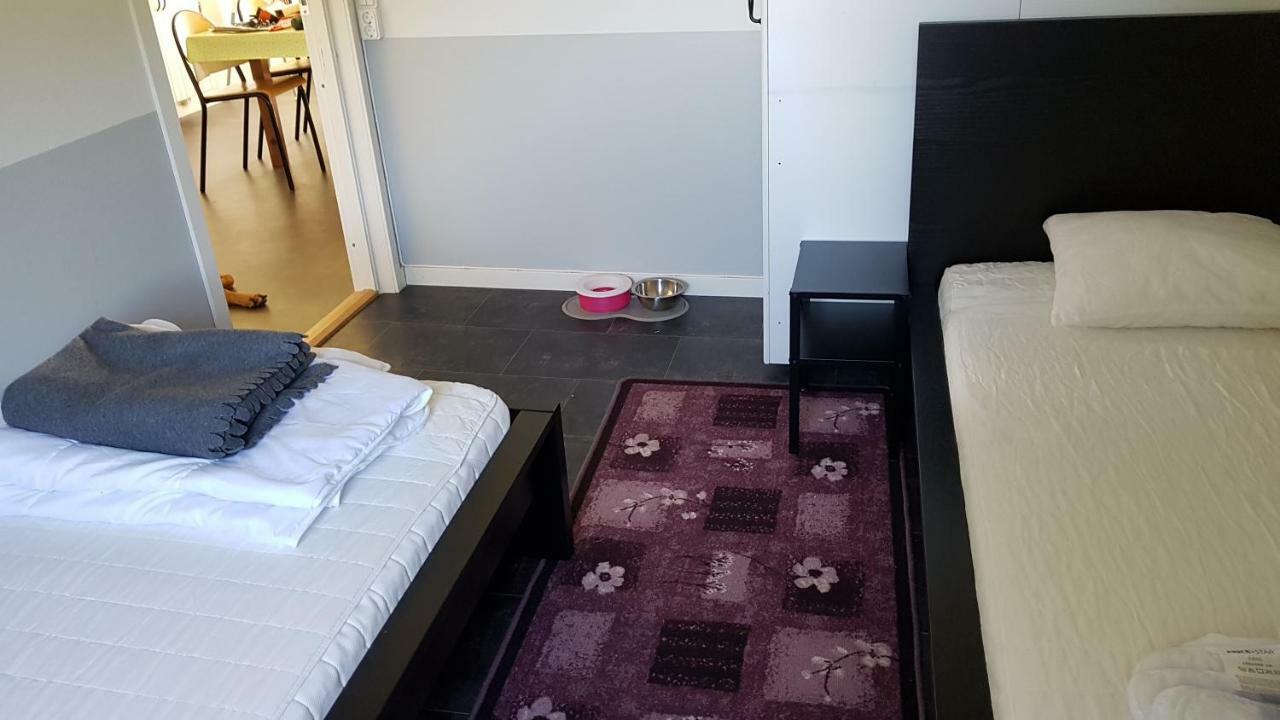Olserods Hundcenter & Vandrarhem Degeberga Luaran gambar